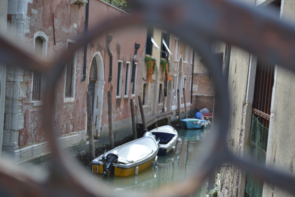 WanderWoman Venice – Licensed tour guide – Nature and interpretive guide – Tour leader