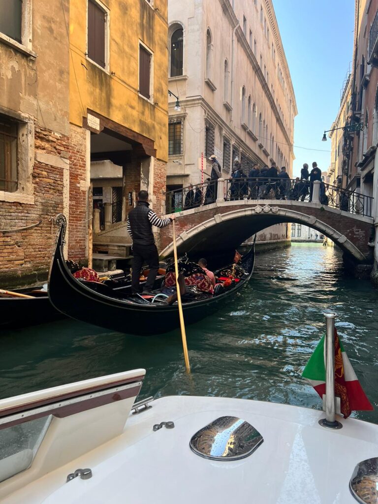 WanderWoman Venice – Licensed tour guide – Nature and interpretive guide – Tour leader
