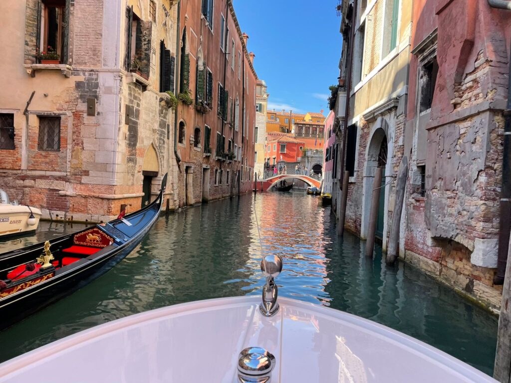 WanderWoman Venice – Licensed tour guide – Nature and interpretive guide – Tour leader