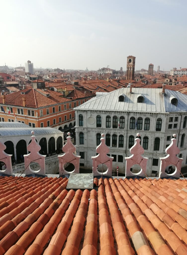 WanderWoman Venice – Licensed tour guide – Nature and interpretive guide – Tour leader