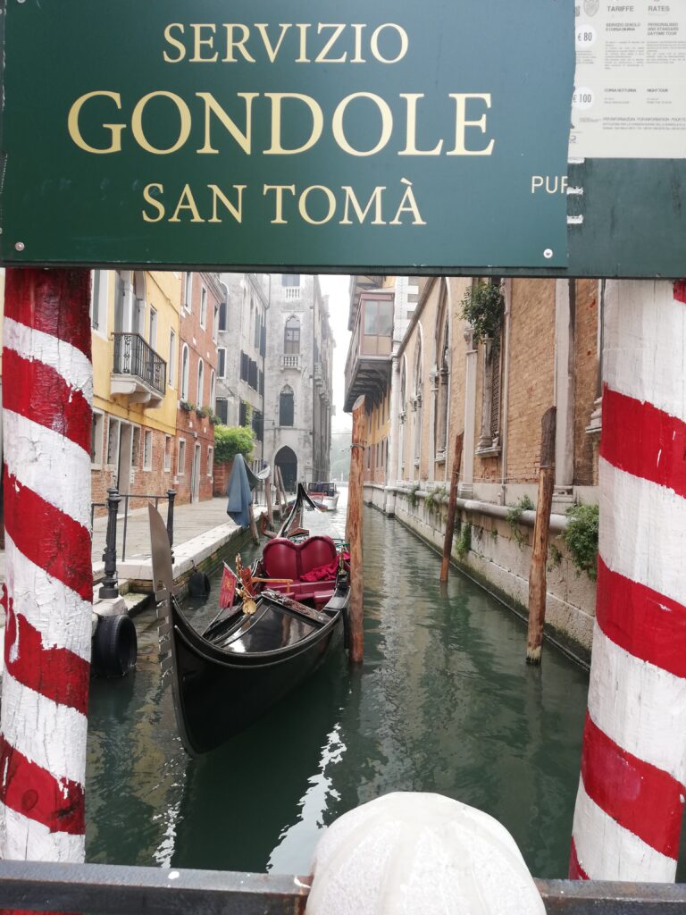 WanderWoman Venice – Licensed tour guide – Nature and interpretive guide – Tour leader