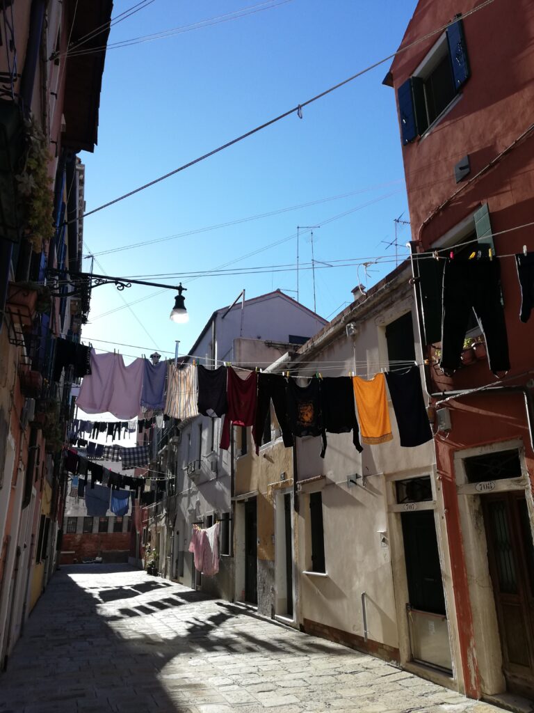 WanderWoman Venice – Licensed tour guide – Nature and interpretive guide – Tour leader