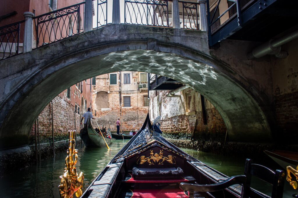 WanderWoman Venice – Licensed tour guide – Nature and interpretive guide – Tour leader